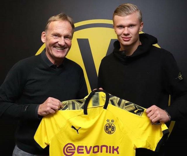 官方公示！澳大利亚籍外教迈克尔·凯利出任深圳男篮新帅